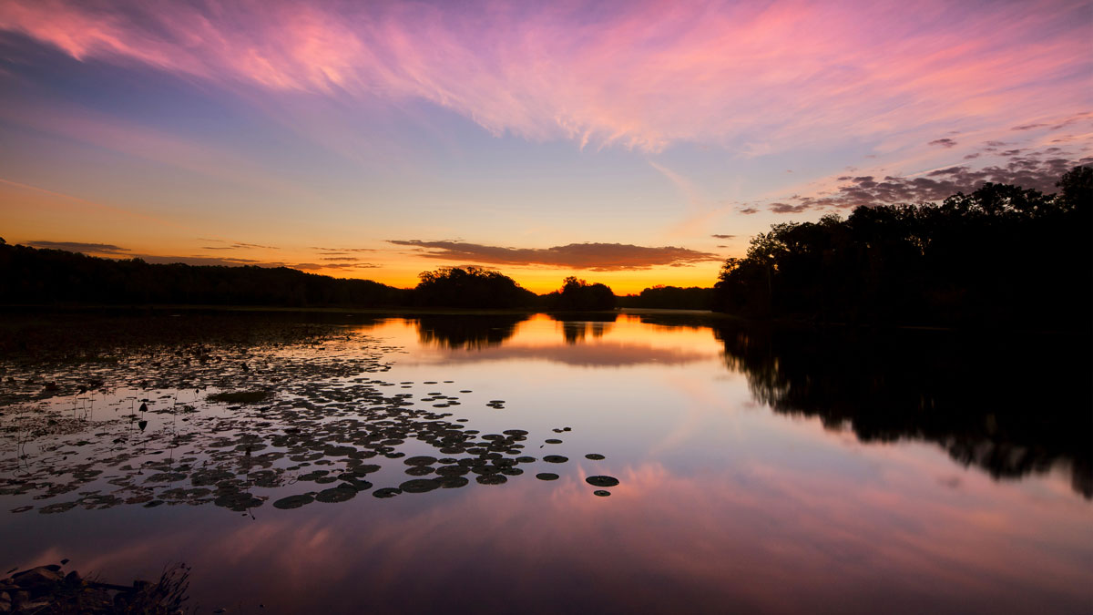 Discover the Mississippi